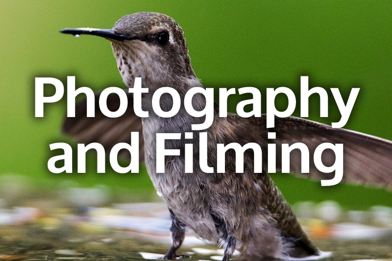 Photography and Filming