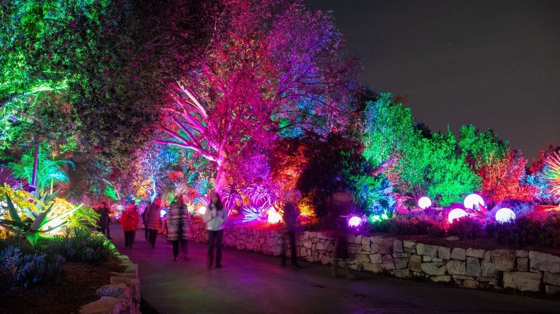 Photos From Inside This Year's GLOW - South Coast Botanic Garden Foundation