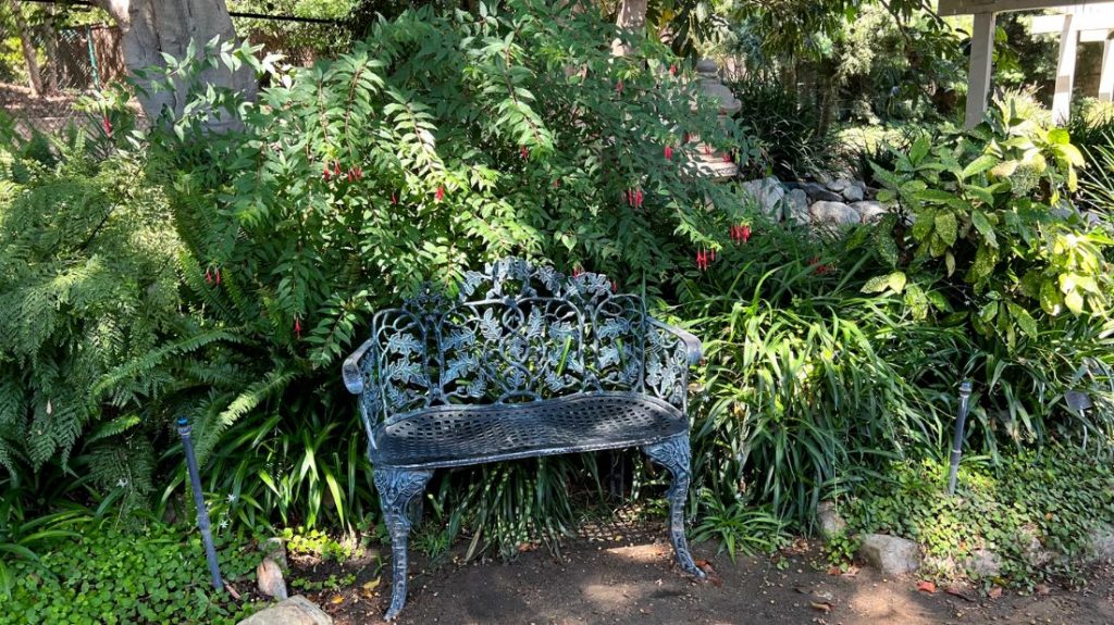 A most restful spot in the Fuchsia Garden